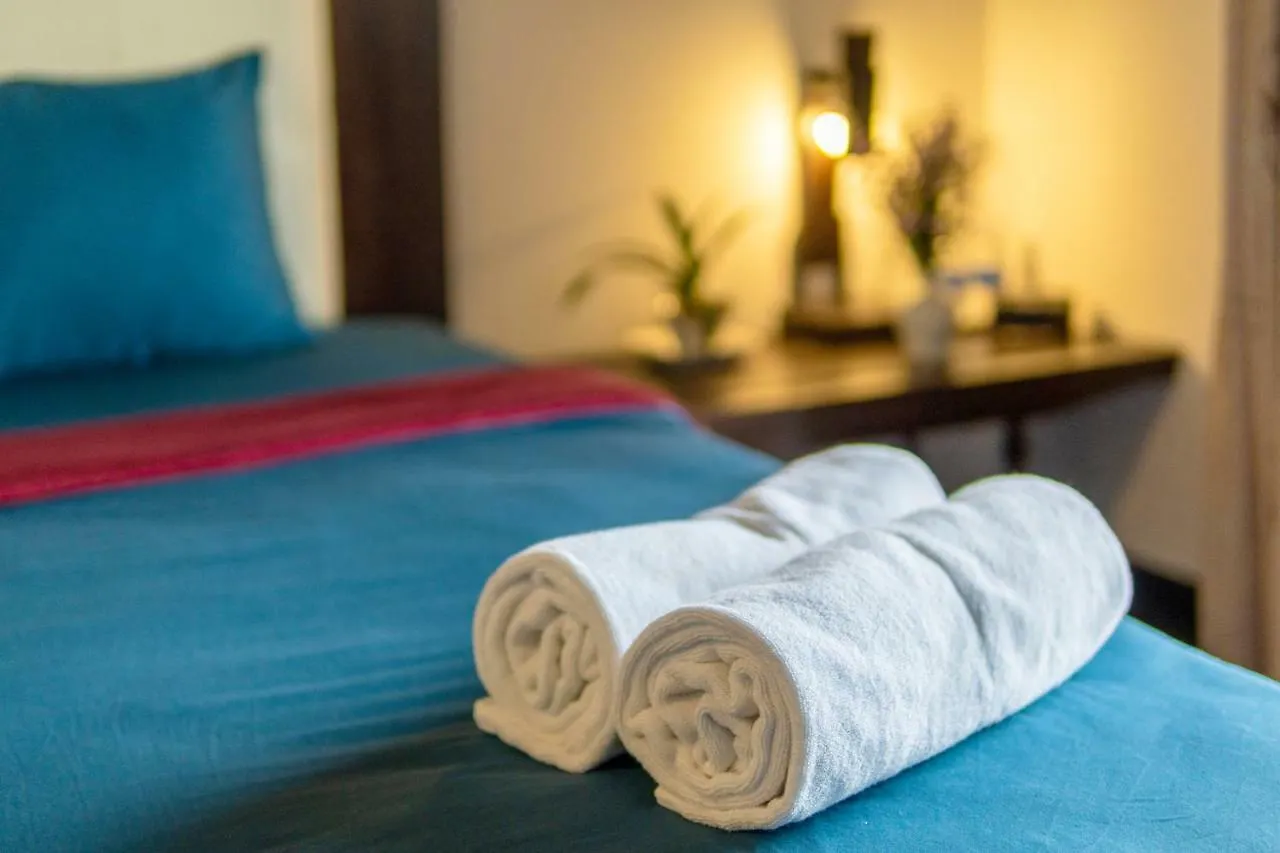 Calm House Hotel Hoi An 1